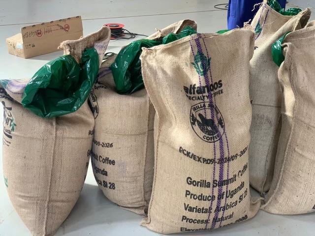 Specialty coffee production in western Uganda