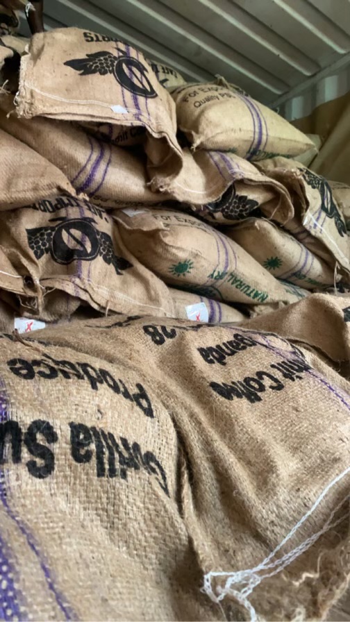 Stacked Gorilla Summit export bags