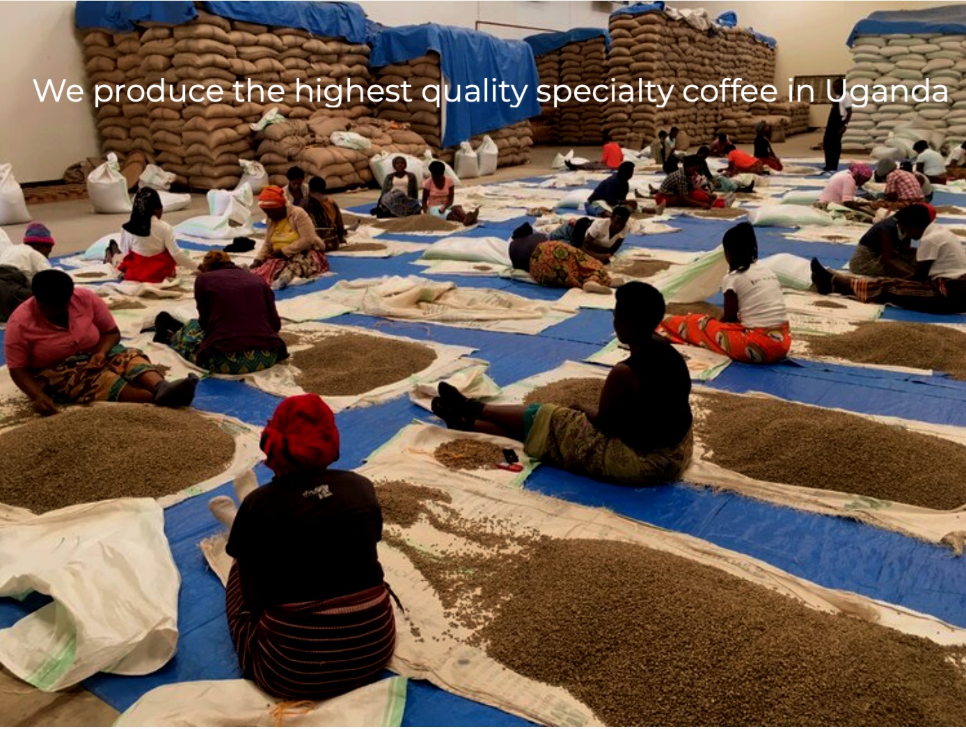 Cupping and quality control